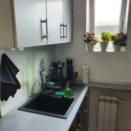 Apartment New Belgrade